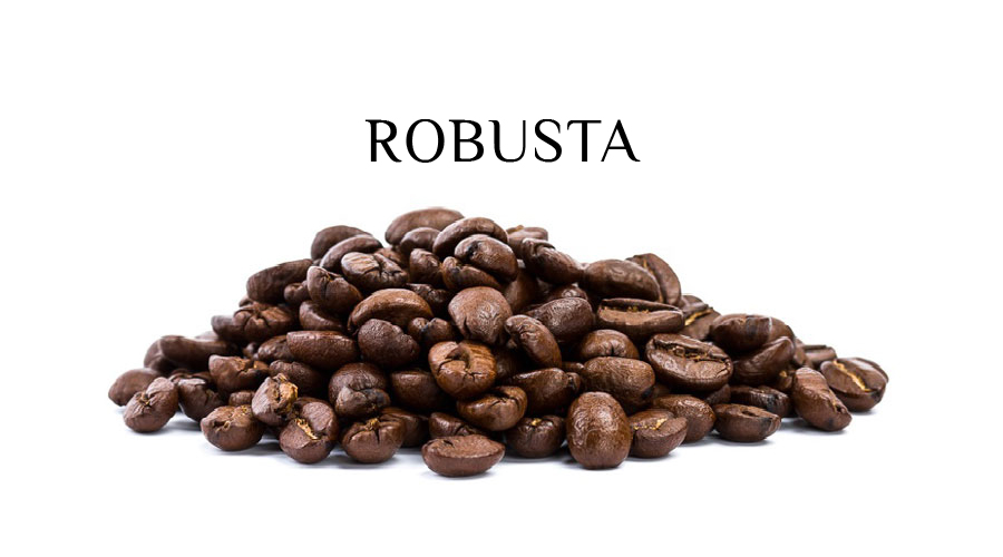 Cà phê Robusta